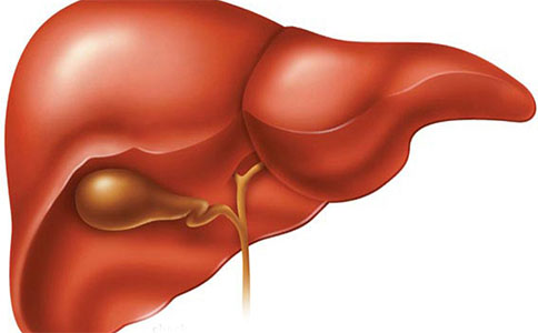 肝胆系统