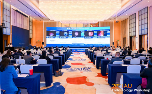 国际尿石症联盟