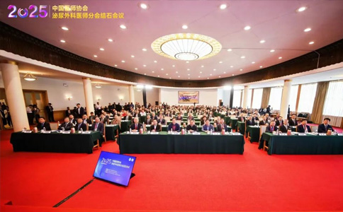 结石年会