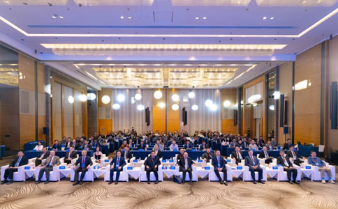 泌尿系结石防治