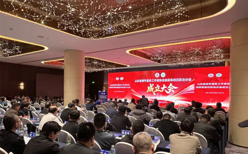 泌尿系结石防治分会 泌尿系结石防治分会